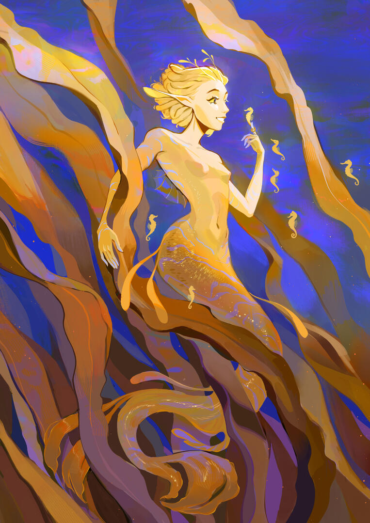 Sea horse Sea horse