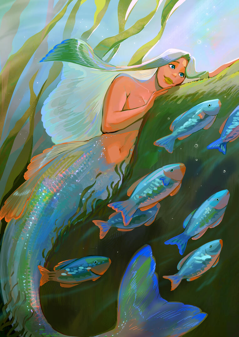 Parrotfish Parrotfish