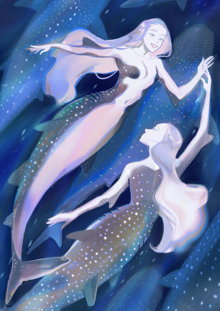 whale shark whale shark
